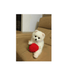 Doki Doggie（個別スタンプ：8）