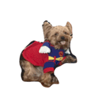 Jordan dog（個別スタンプ：6）