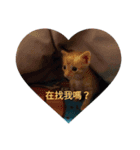 love yoy（個別スタンプ：7）