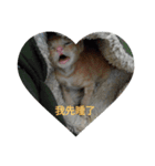 love yoy（個別スタンプ：8）