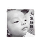 Daily of chang nan（個別スタンプ：1）