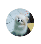 Yinjia's Baby puppy（個別スタンプ：7）