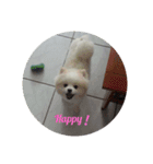 Yinjia's Baby puppy（個別スタンプ：9）
