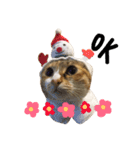 Ahfatcat diary（個別スタンプ：12）