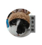 black ＆ white cat~poker（個別スタンプ：21）
