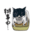 eh！cat！6（個別スタンプ：4）