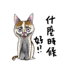 eh！cat！6（個別スタンプ：5）