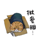 eh！cat！6（個別スタンプ：20）