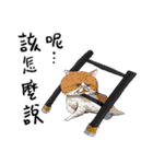 eh！cat！6（個別スタンプ：24）