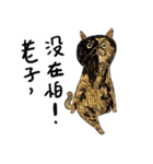 eh！cat！6（個別スタンプ：27）