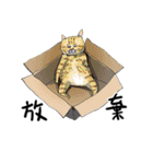 eh！cat！6（個別スタンプ：31）