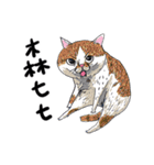 eh！cat！6（個別スタンプ：34）