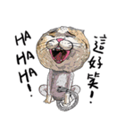 eh！cat！6（個別スタンプ：38）