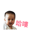 LeLe part 2（個別スタンプ：14）