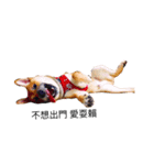 OldOld-Life（個別スタンプ：1）