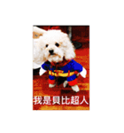 Super Baby dog comes（個別スタンプ：16）