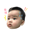 Woody family（個別スタンプ：1）