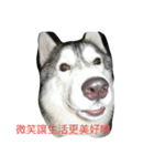 always in my heart（個別スタンプ：2）