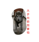 always in my heart（個別スタンプ：4）