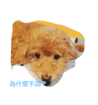 Miss wa（個別スタンプ：9）