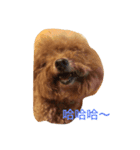 Miss wa（個別スタンプ：15）