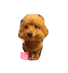 Miss wa（個別スタンプ：16）