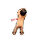 2017/01/20（個別スタンプ：2）