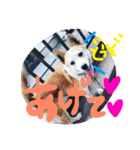 KUSHI fam（個別スタンプ：7）