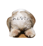 どんちゃんすたんぷ（個別スタンプ：7）
