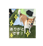 ラブリーラテ（個別スタンプ：8）