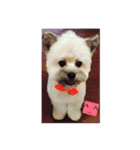Dog><（個別スタンプ：1）