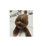Dog><（個別スタンプ：2）