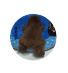 Dog><（個別スタンプ：8）