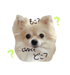 ♡もこはち♡（個別スタンプ：14）