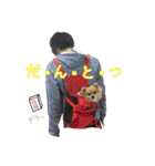 ♡もこはち♡（個別スタンプ：39）