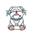 Cool Dog ＆ Fool Dog（個別スタンプ：9）