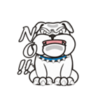 Cool Dog ＆ Fool Dog（個別スタンプ：12）