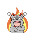 Cool Dog ＆ Fool Dog（個別スタンプ：13）