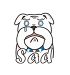 Cool Dog ＆ Fool Dog（個別スタンプ：14）