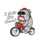 Cool Dog ＆ Fool Dog（個別スタンプ：24）