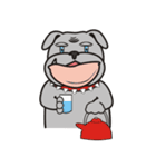 Cool Dog ＆ Fool Dog（個別スタンプ：26）