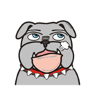 Cool Dog ＆ Fool Dog（個別スタンプ：27）