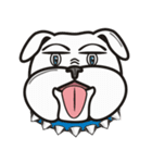 Cool Dog ＆ Fool Dog（個別スタンプ：38）