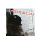 黒猫クロ助の一言英会話（個別スタンプ：23）