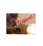 グレコの猫英語（個別スタンプ：9）