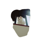 Mau mau cat.（個別スタンプ：1）