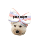 BAO DOG（個別スタンプ：2）