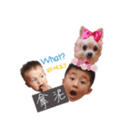 bossrere（個別スタンプ：1）