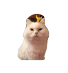 Boss Mi（個別スタンプ：9）