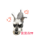 Do life（個別スタンプ：2）